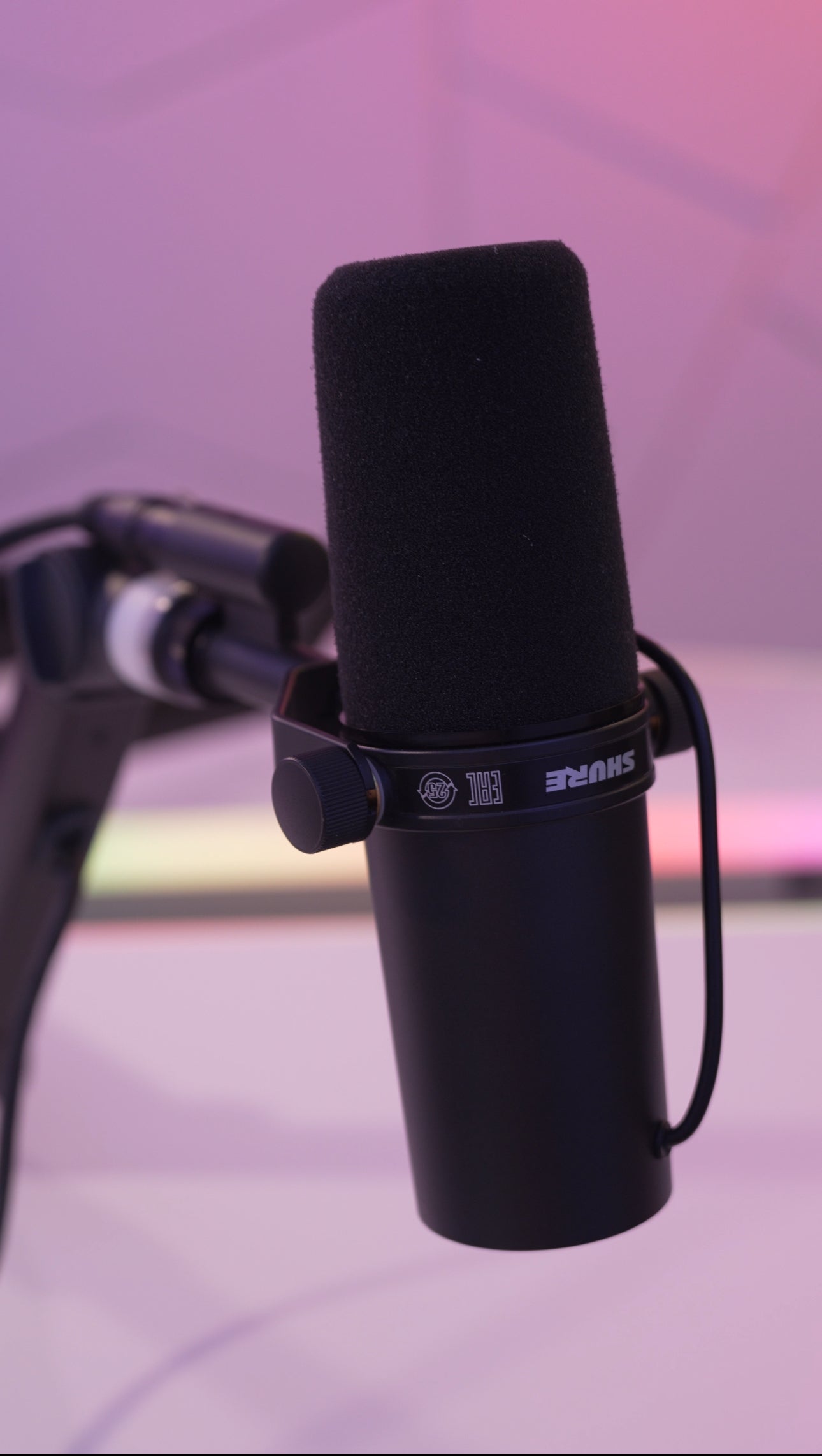 Microphones & Mic arm